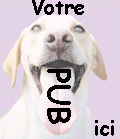 PUB03.gif (10341 octets)