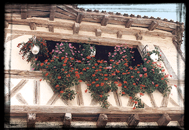 balcon1lot.gif (79920 octets)