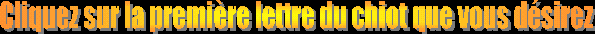 clic chiot.gif (5438 octets)