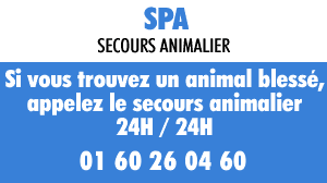 sos ani 24sur24.gif (6112 octets)